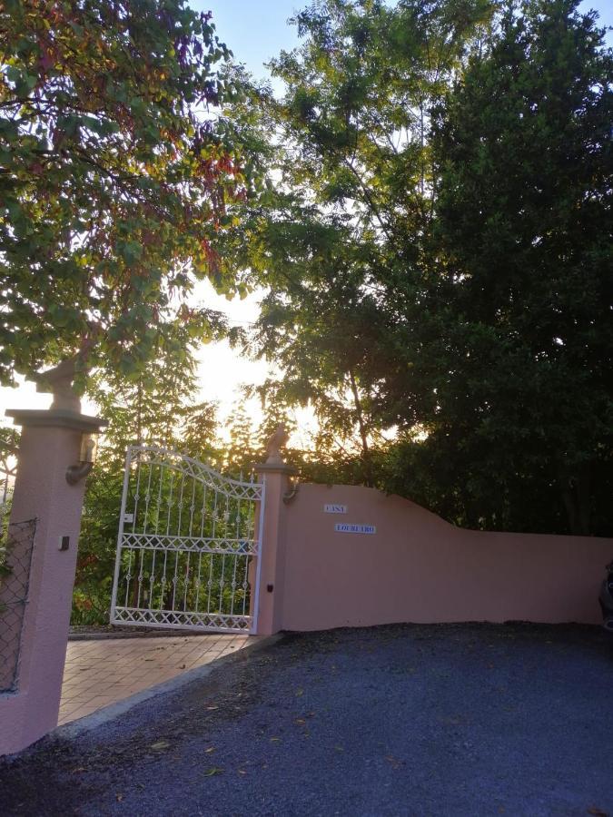 Casa Loureiro - Vista Rio Douro Resende Exterior foto